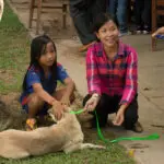 Two girls playing with a dog on the ground.