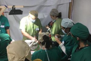 A group of doctors and nurses in green shirts.