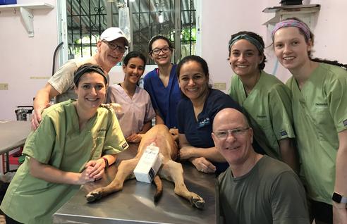 A group of people standing around a dog.