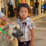 A little girl standing next to a dog.