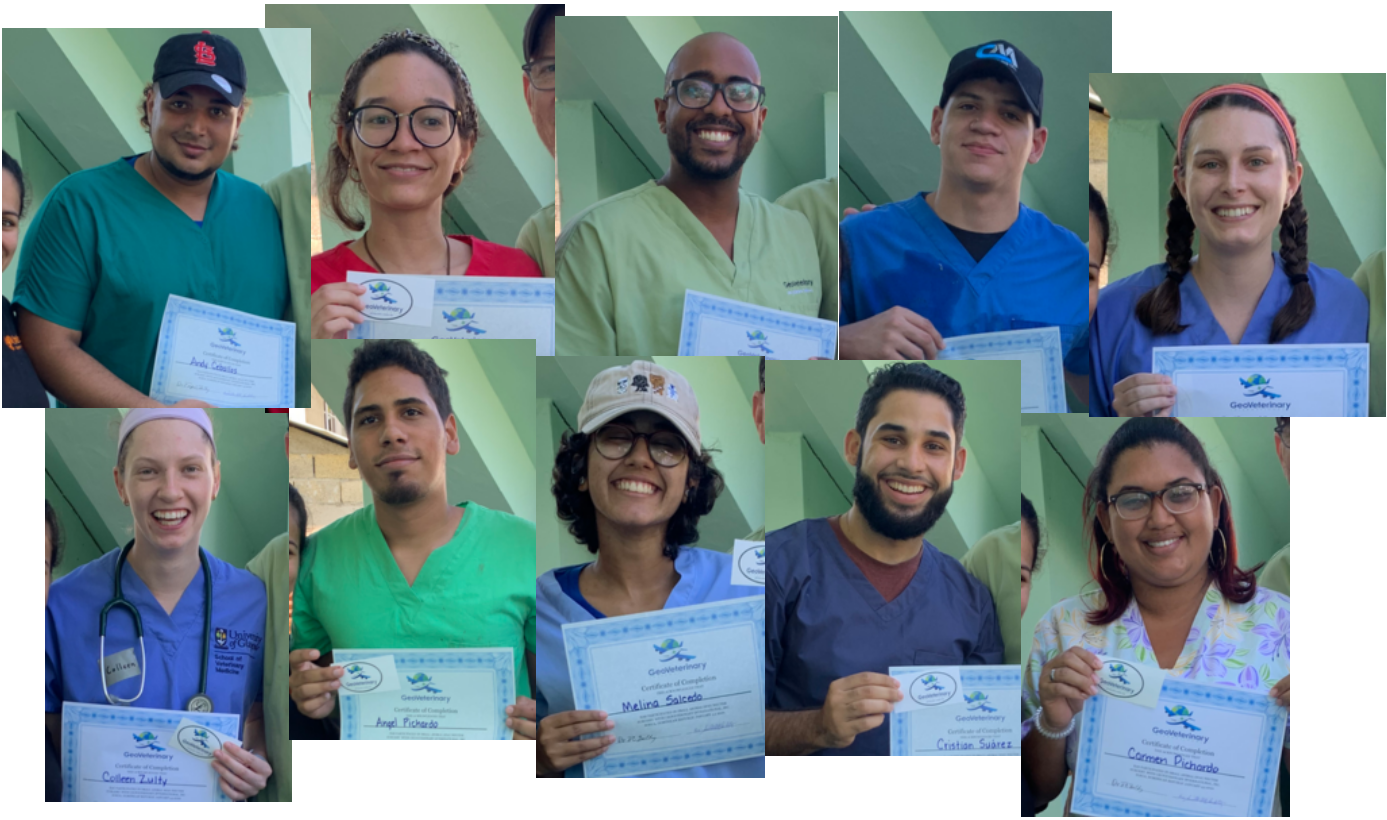 A collage of people holding certificates in their hands.