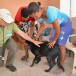 A group of people petting a black dog.