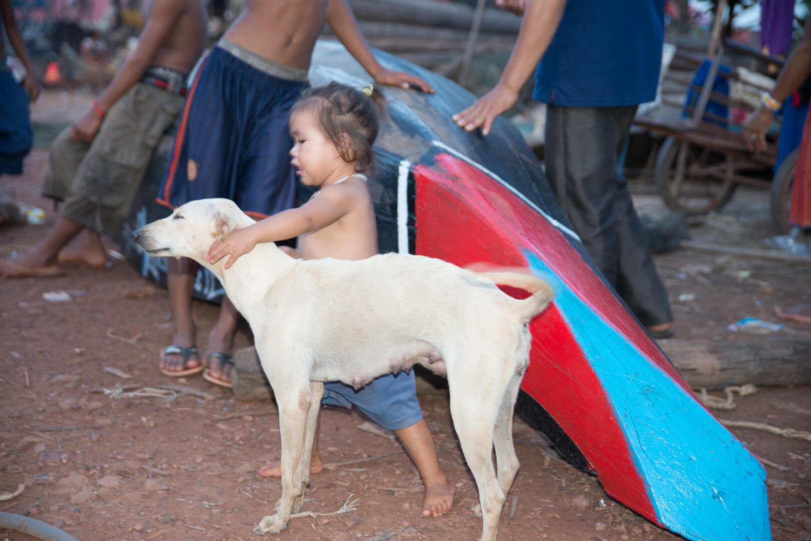 A young child and dog with a surfboard.