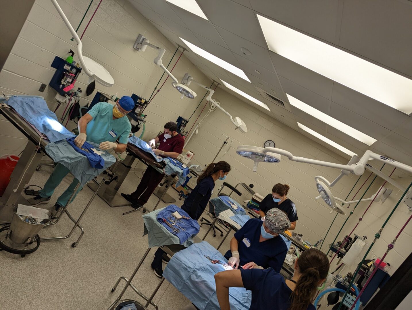 A group of people in a room with surgical equipment.