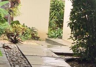A walkway with plants and water in it